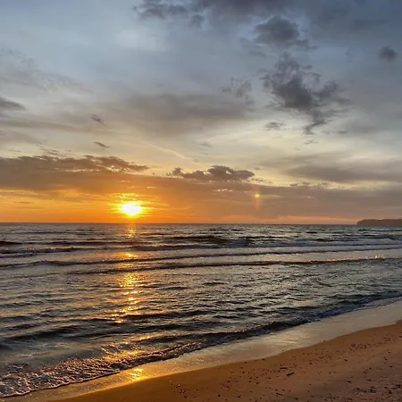 펜션 Ferienwohnung Sturmmoewe 빈츠