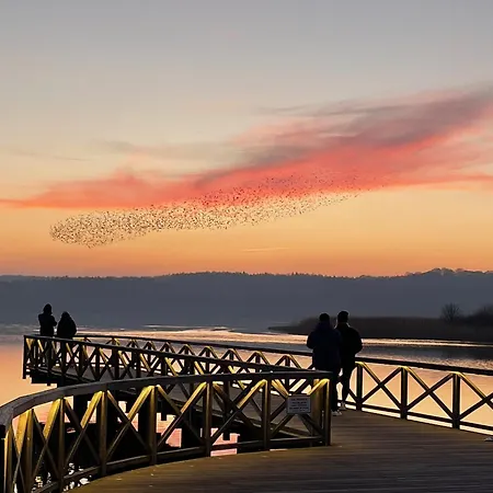 Casa de Férias Ruhige Mit Sonnenterrasse Und Garten *