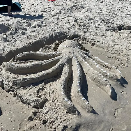 Ferienwohnung Sturmmoewe *