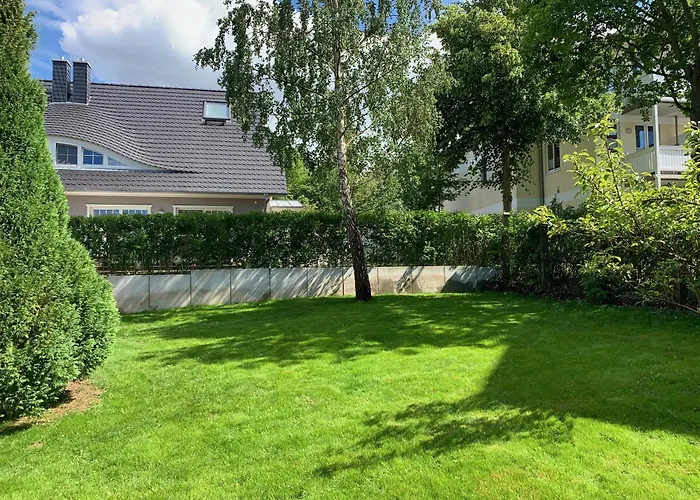 Sturmmöwe